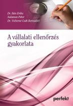 A vállalati ellenőrzés gyakorlata