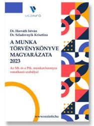A Munka Törvénykönyve magyarázata 2023