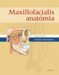 Maxillofaciális anatómia (4. kiadás)