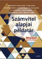 Számvitel alapjai példatár