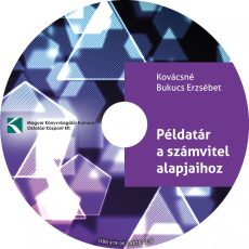 Példatár a számvitel alapjaihoz (CD)