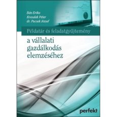 Példatár és feladatgyűjtemény a vállalati gazdálkodás elemzéséhez