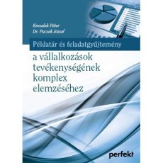 Példatár és feladatgyűjtemény a vállalkozások tevékenységének komplex elemzéséhez