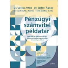 Pénzügyi számvitel példatár