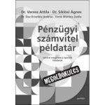 Pénzügyi számvitel példatár - MEGOLDÓKULCS