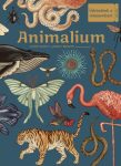 Animalium - Üdvözlünk a múzeumban!